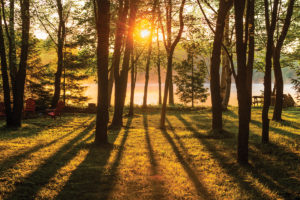 Park Forest
